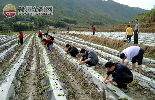 赣州银行“三送”小组结对帮扶助春耕