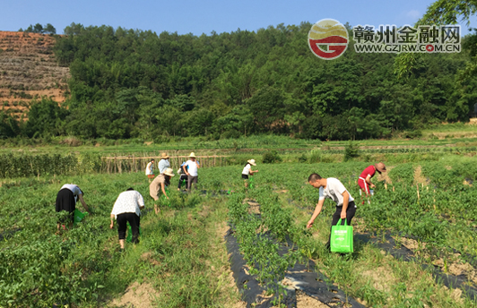 走进生态基地 体验农家生活