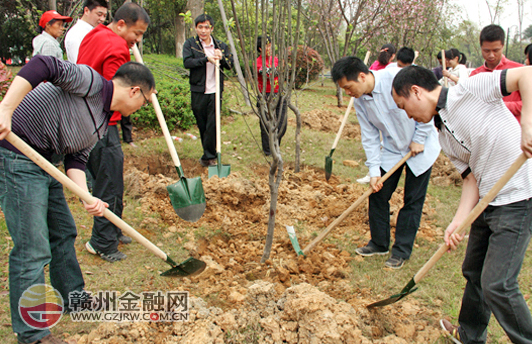 践行绿色可持续发展观 赣州银座开展义务植树活动