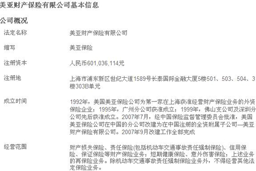 美亚保险