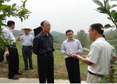 建投监事长王世强在北京金融街跳楼身亡