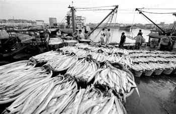 金融排斥行业盘活术:民生银行海洋小微业务样本